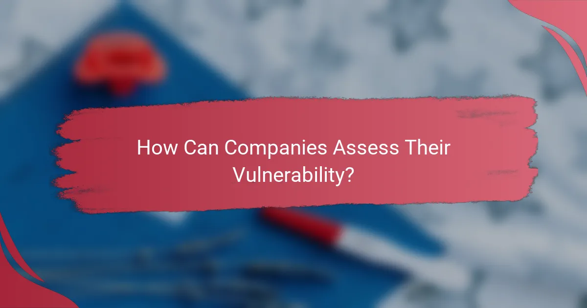 How Can Companies Assess Their Vulnerability?