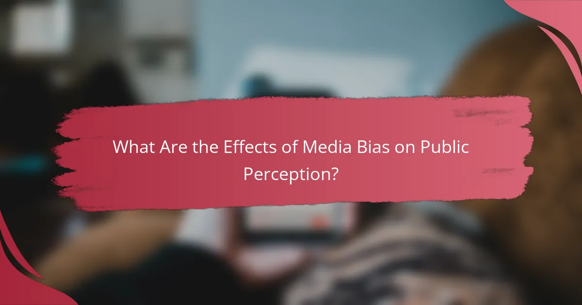 What Are the Effects of Media Bias on Public Perception?