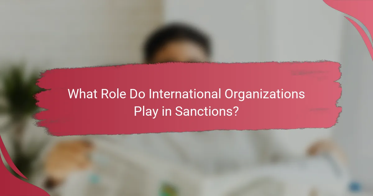 What Role Do International Organizations Play in Sanctions?